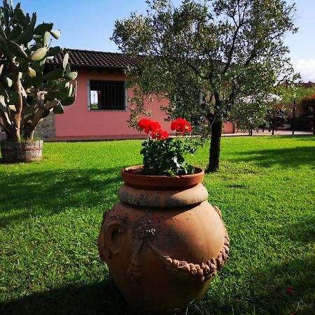 Caise Villa กาสเตลนัวโว มากรา ภายนอก รูปภาพ